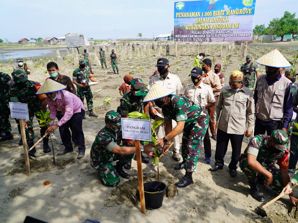 Pangdam IM Bersama Masyarakat Tanam Mangrove Di Kota Lhokseumawe Tagar