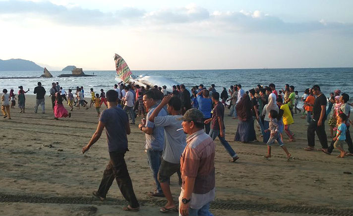 Pesawat Gubernur Aceh Mendarat Darurat, Sayap Kanan 