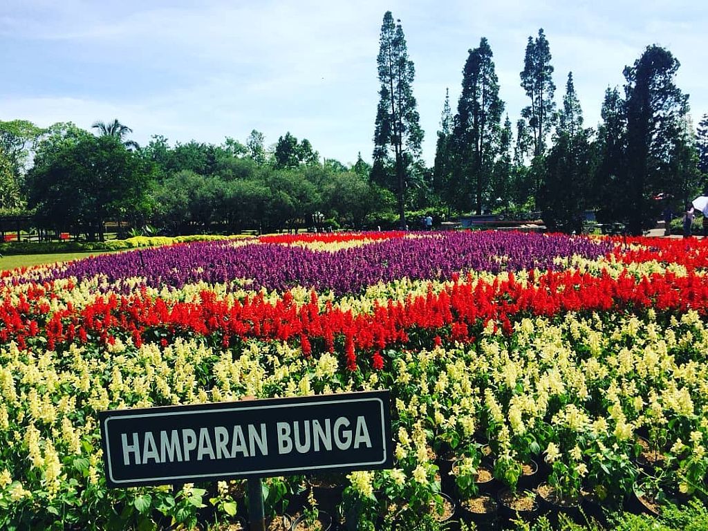 Lima Wisata Taman Bunga Paling Romantis Di Indonesia Tagar