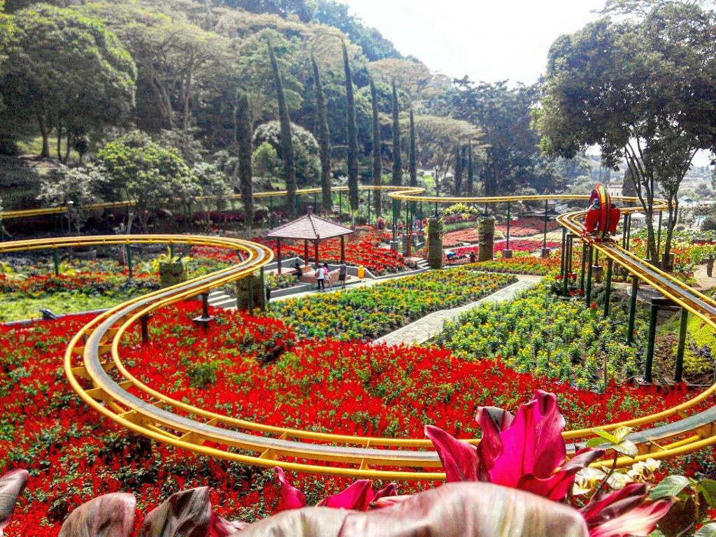 Lima Wisata Taman Bunga Paling Romantis di Indonesia | Tagar
