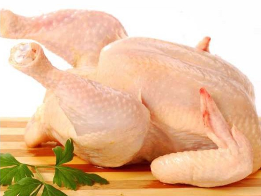 Ilustrasi Daging Ayam