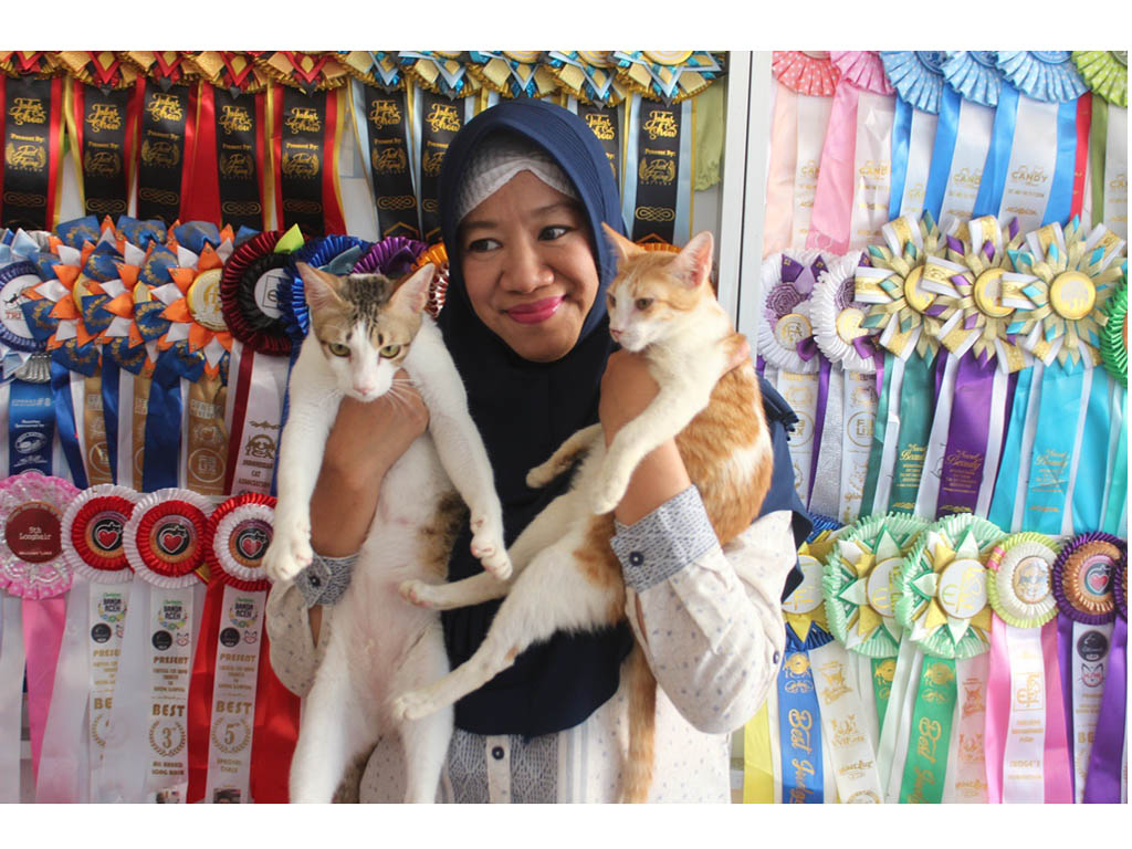 Cerita Kucing Aceh (3)