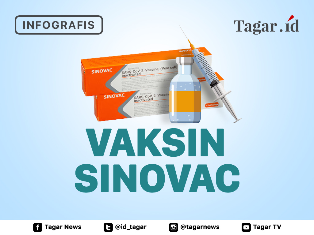 Infografis: Fakta-fakta Vaksin Sinovac | Tagar