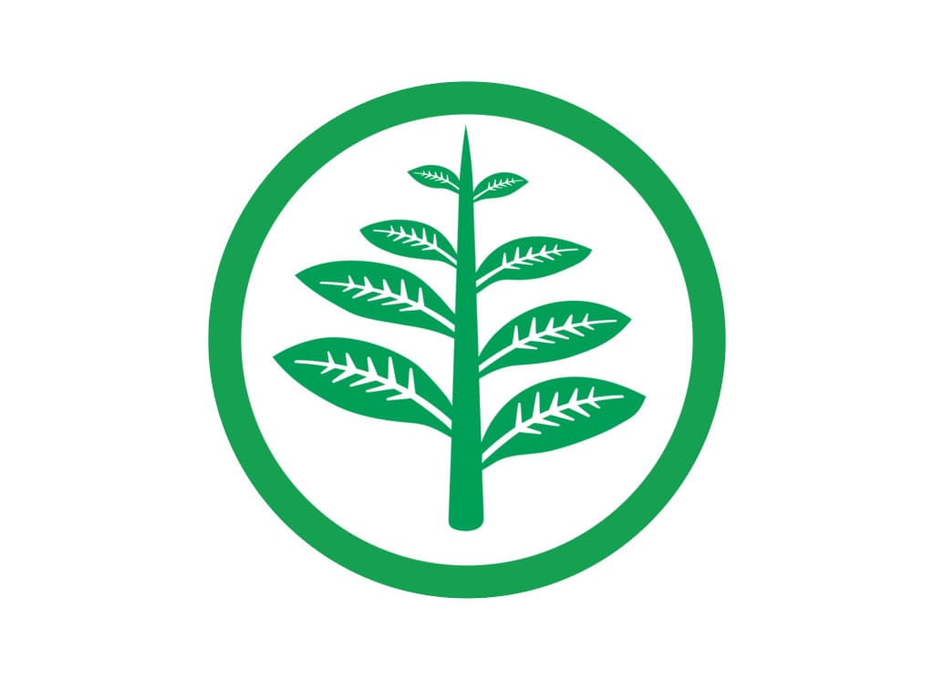 Simbol pohon