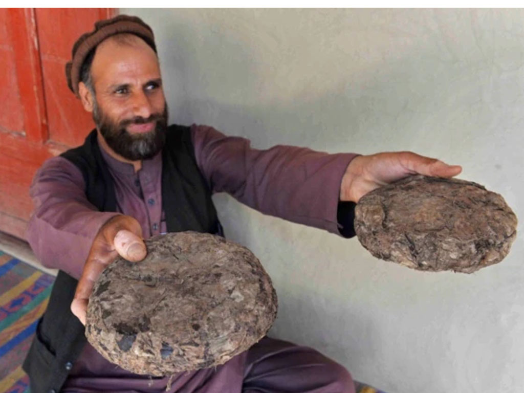 petani afghanistan pamerkan opium