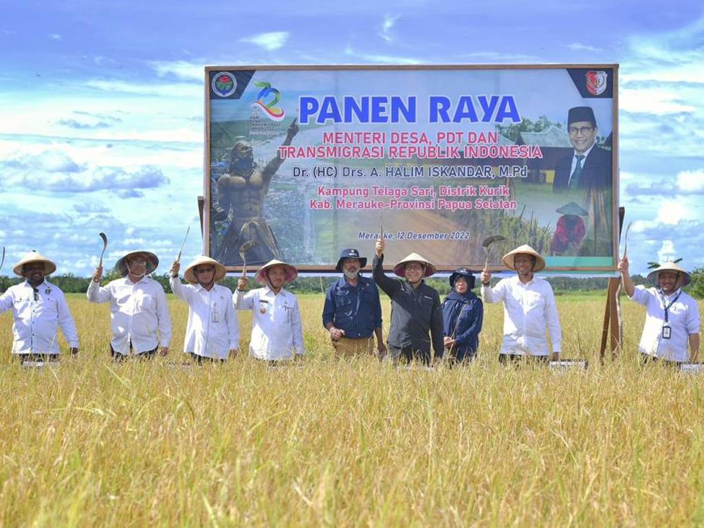 Hasil Panen Melimpah, Merauke Surplus Ratusan Ribu Ton Beras