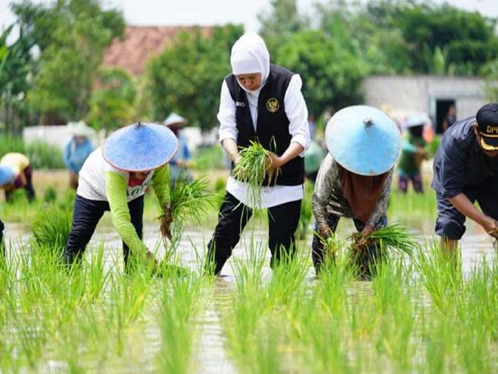 Gubernur Terpilih Khofifah Pastikan Jatim Siap Dukung Swasembada Pangan Nasional