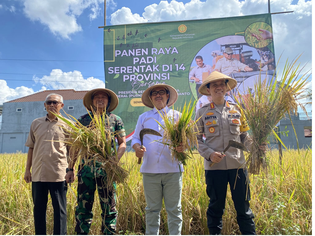 Panen Raya Padi Serentak Berdikari Ketahanan Pangan di Kota Yogyakarta