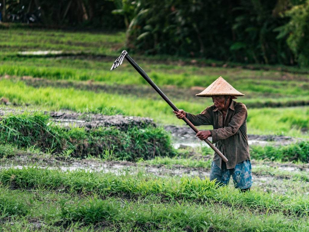 Opini: Perlindungan Petani: Membangun Paradigma Baru di Tengah Krisis Energi